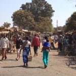 Discovering Libuyu: The Soul of Livingstone 🇿🇲