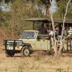 Top 5 Companies Best game drive services in Livingstone