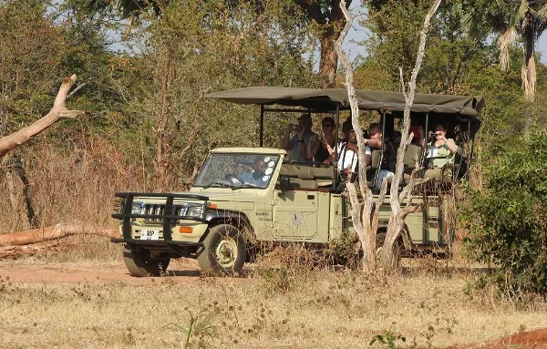 Top 5 Companies Best game drive services in Livingstone