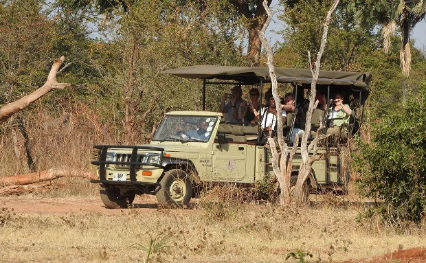 Top 5 Companies Best game drive services in Livingstone